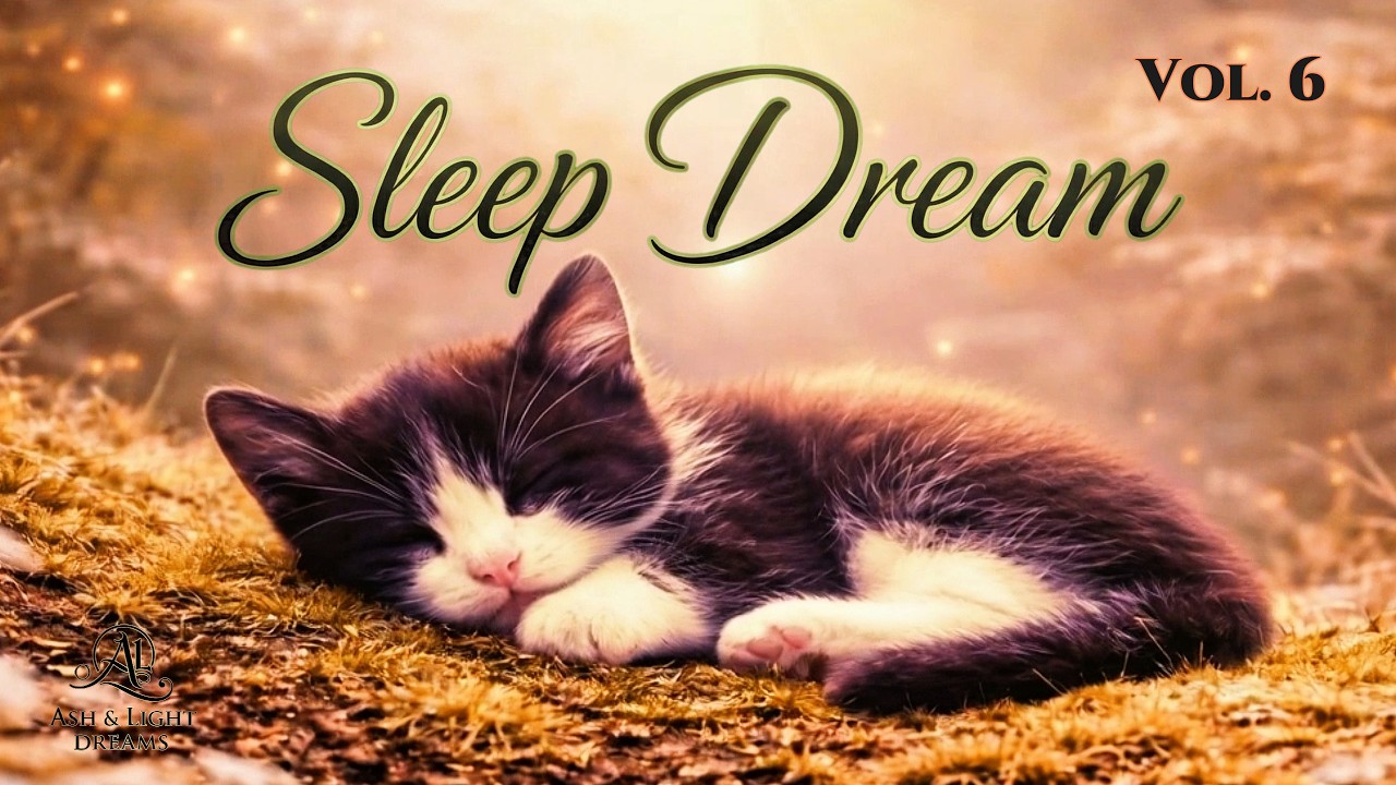 Soft Kitten Dreams | Deep Sleep Music for Calm Nights (1 Hour)