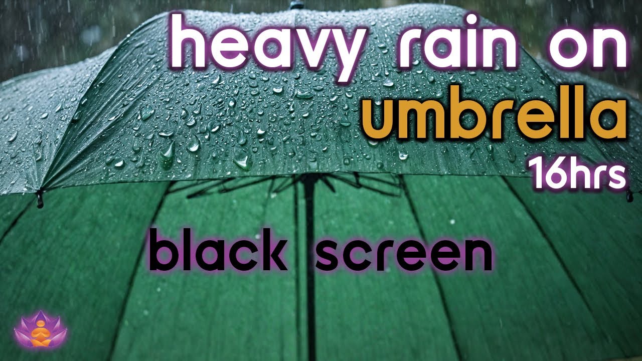 [Black Screen] Heavy Rain on Umbrella No Thunder | Rain Ambience | Rain Sounds for Sleeping