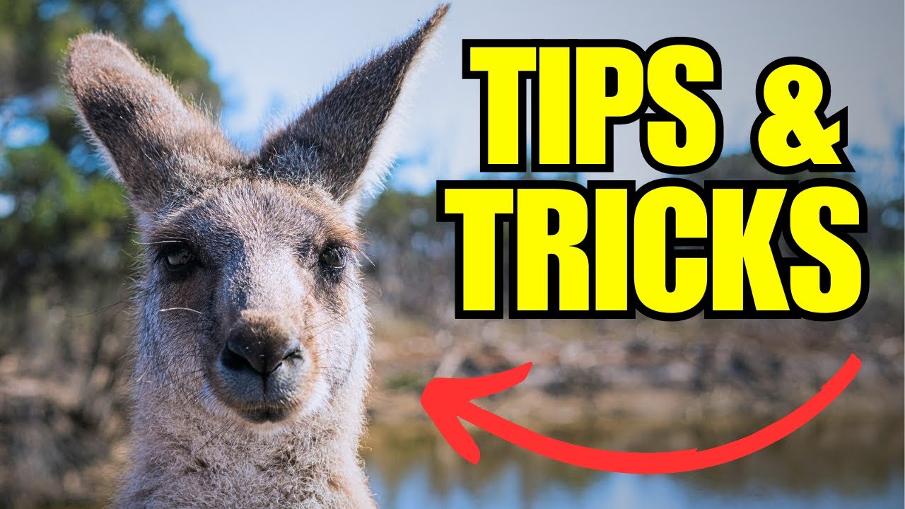 Things You MUST Know Before You Visit Australia ...