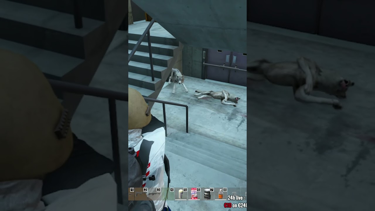 DayZ funny moments #shorts #dayz #romania