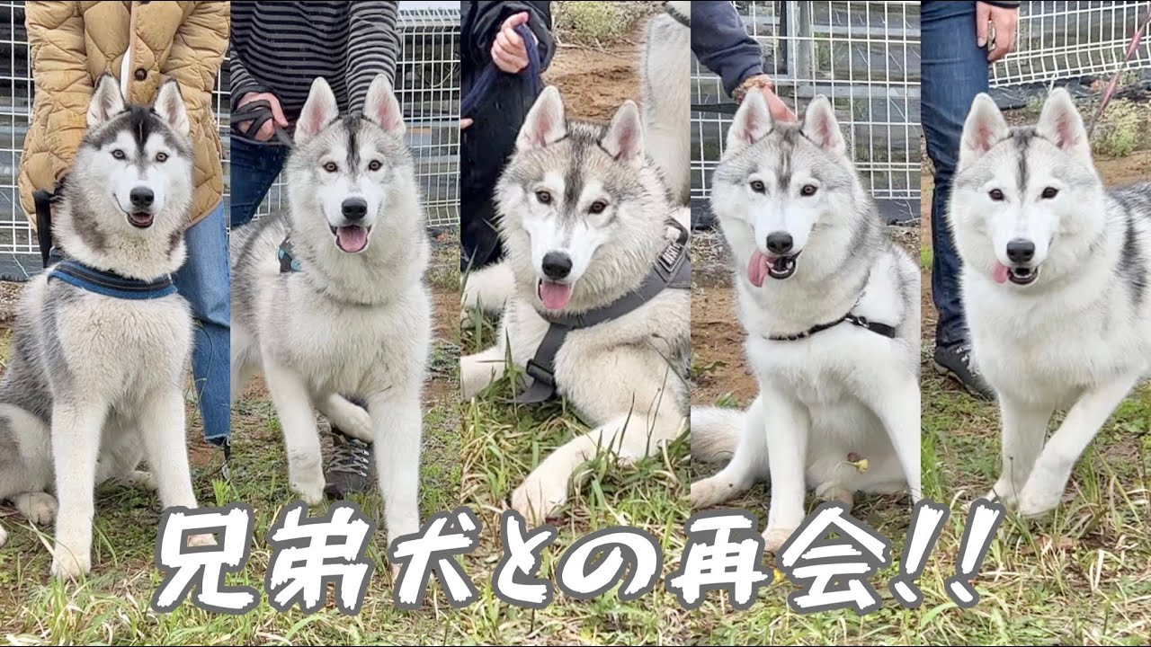 【感動】実の兄弟が大集合！1年ぶりに再会したらみんな同じ顔でしたww