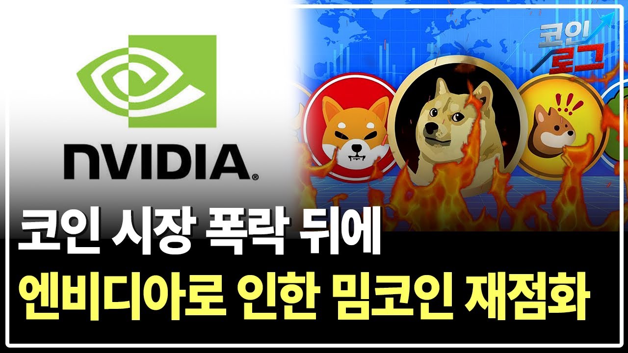 밈코인 시장 다시 살아난다 ! 엔비디아로 인한 상승 ?