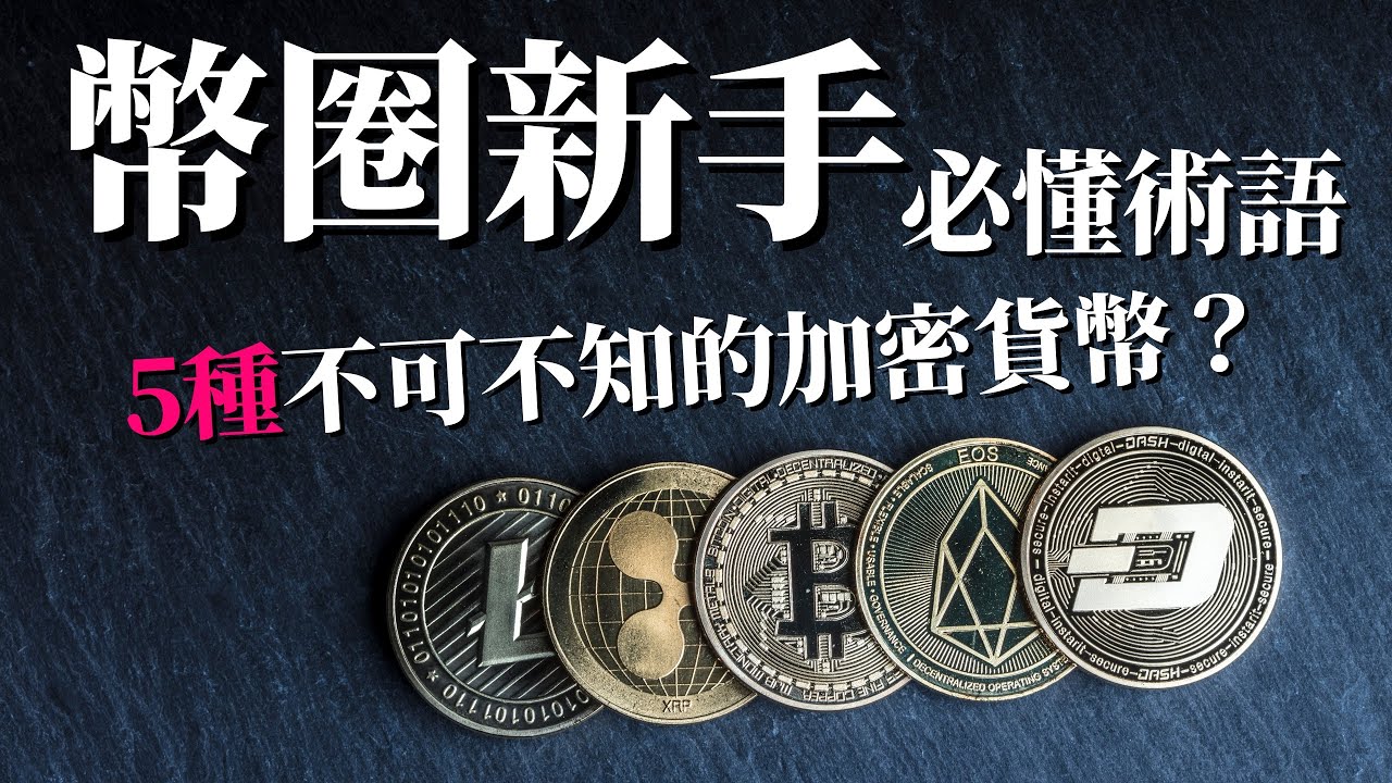 [蕾咪] 5種常見加密貨幣！？穩定幣、主流幣、空氣幣、傳銷幣、山寨幣是什麼？幣圈韭菜幣種專有名詞！
