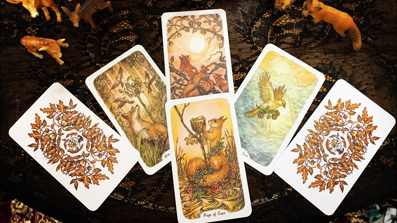 Обзор анималистической колоды « Oak, Ash & Thorn Tarot»🍂🌳🍂 