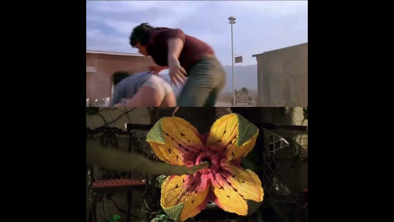 Did you know, Studio ADI made the Graboids in Tremors & the Plant in Jumanji?