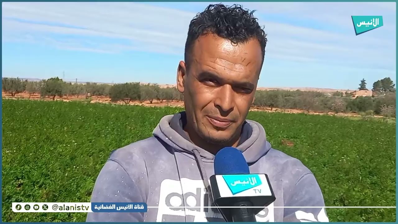 سعيدة: فلاحو بلدية سيدي بوبكر يضاعفون الجهود لتزوييد السوق قبل شهر رمضان