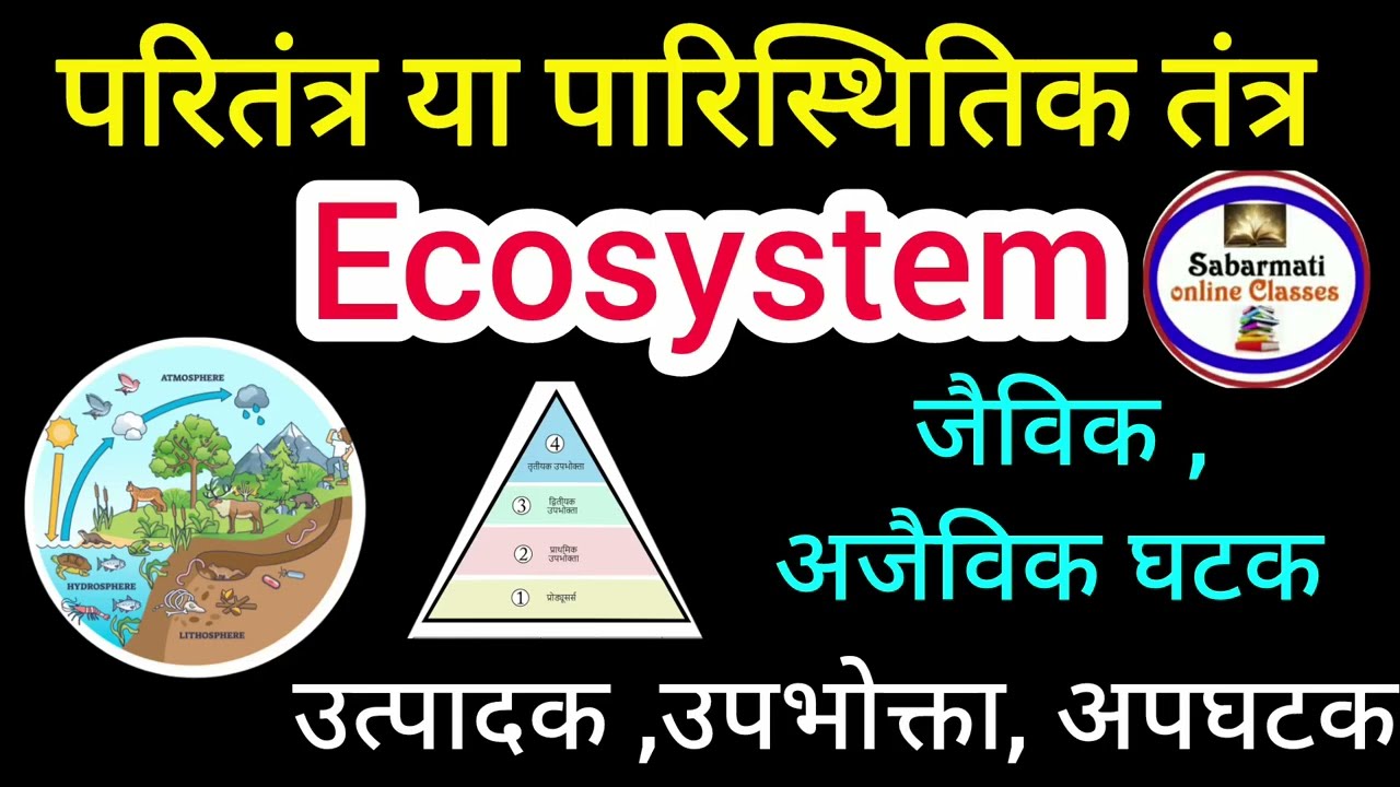 अंतिम संघर्ष class12th biologyइसे जरूर तैयार कर लो#परितंत्र या पारिस्थितिक तन्त्र#types of ecosystem