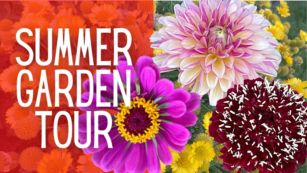Summer Garden Tour 🌻 || Come See What's In My Garden! || Garden Tour || Gardening For Beginners