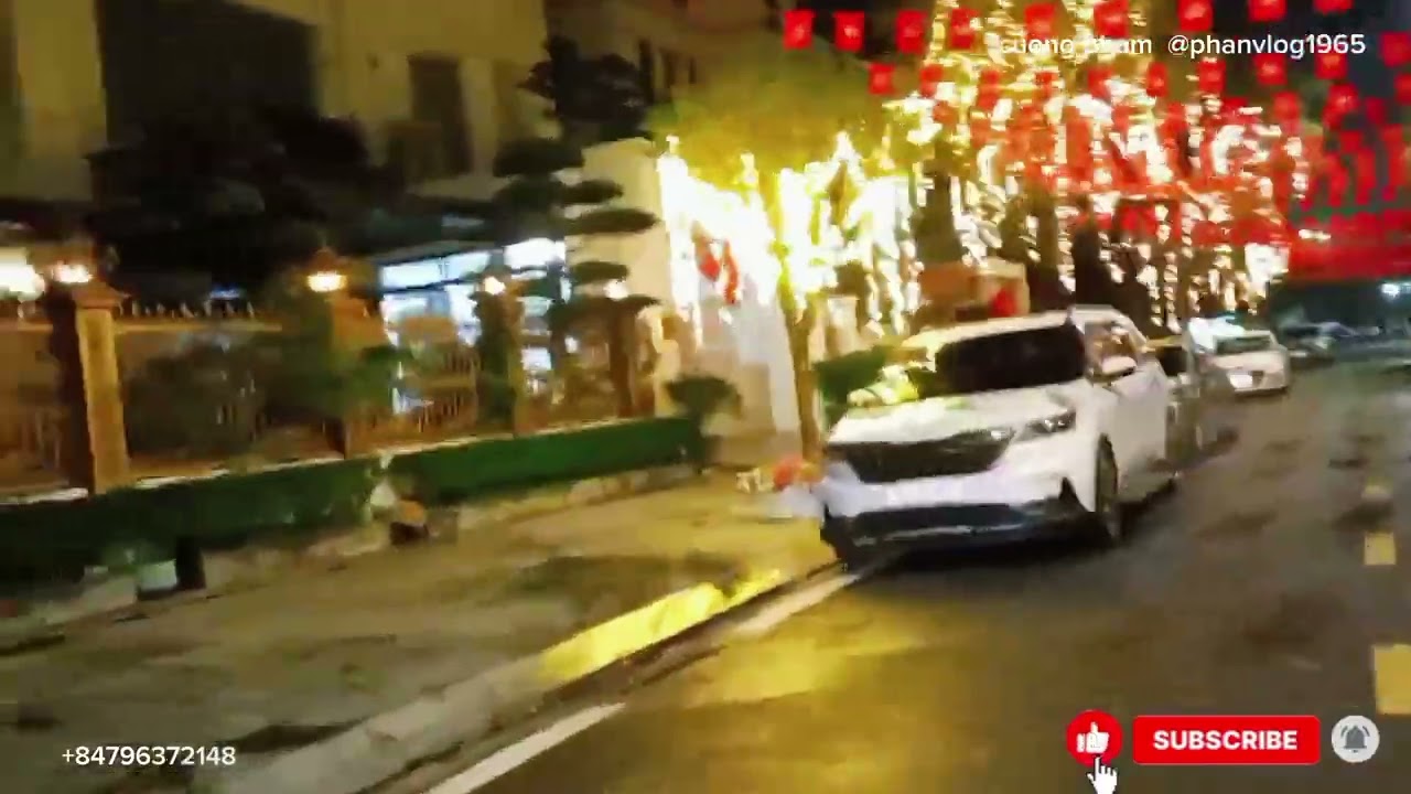 Hòn gai trang hoàng chuẩn bị cho lễ tất niên 