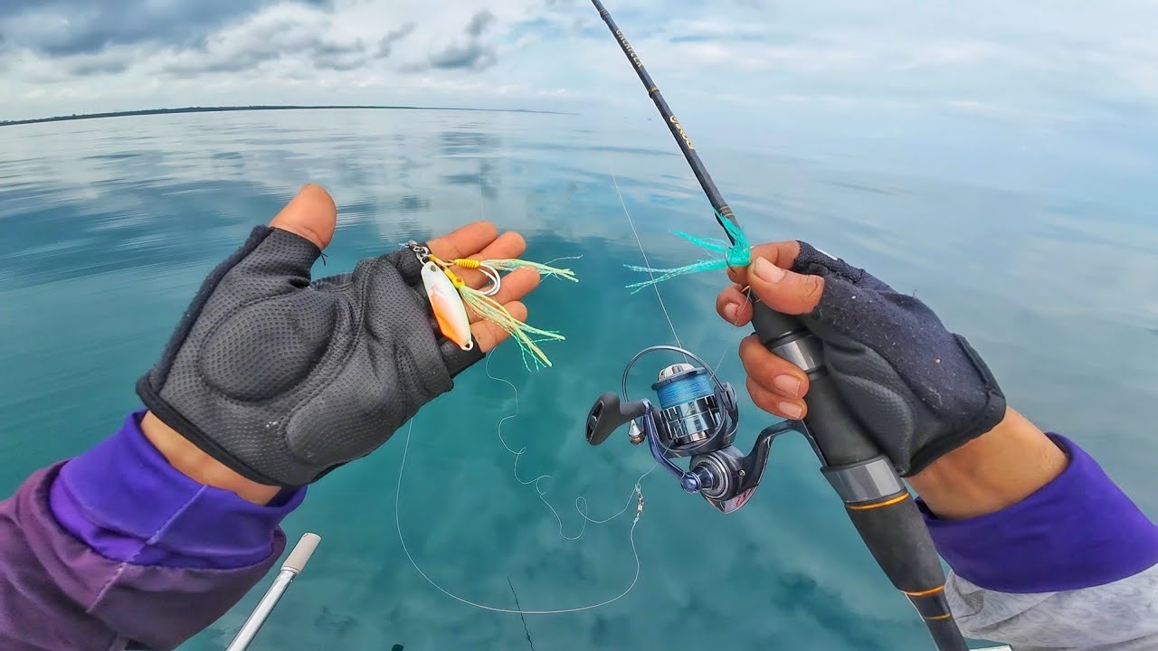 MOMENTUM YANG BAIK UNTUK MANCING JIGGING SABIKI