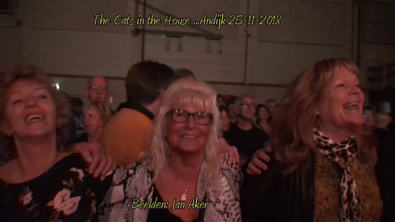 The Cats in the house....Andijk 25 11 2018