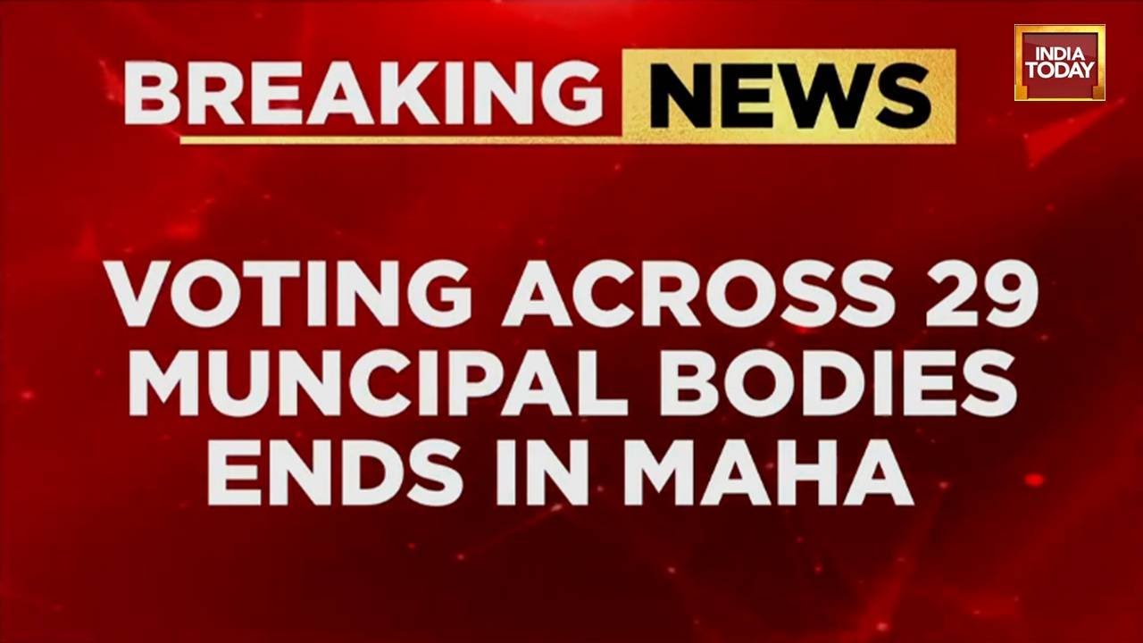 Maharashtra BMC Elections: Voting Ends With 46% To 50% Turnout Across 29 Municipal Corporations