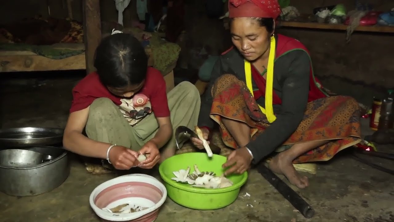 Organic village life || Delicious wild mushroom
