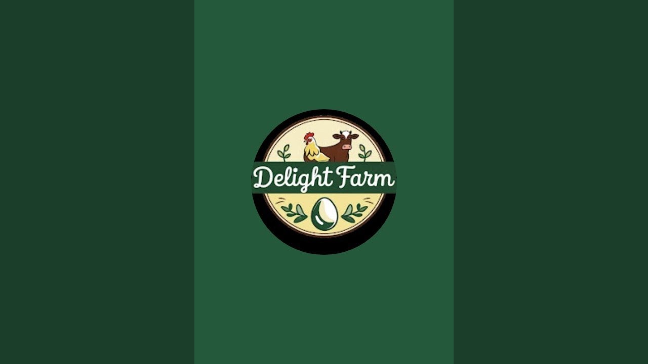 🐔Pure Gavran Poultry Farming | एकदा पहा आणि मगच व्यवसाय सुरु करा #gavran#kukutpalan#poultary