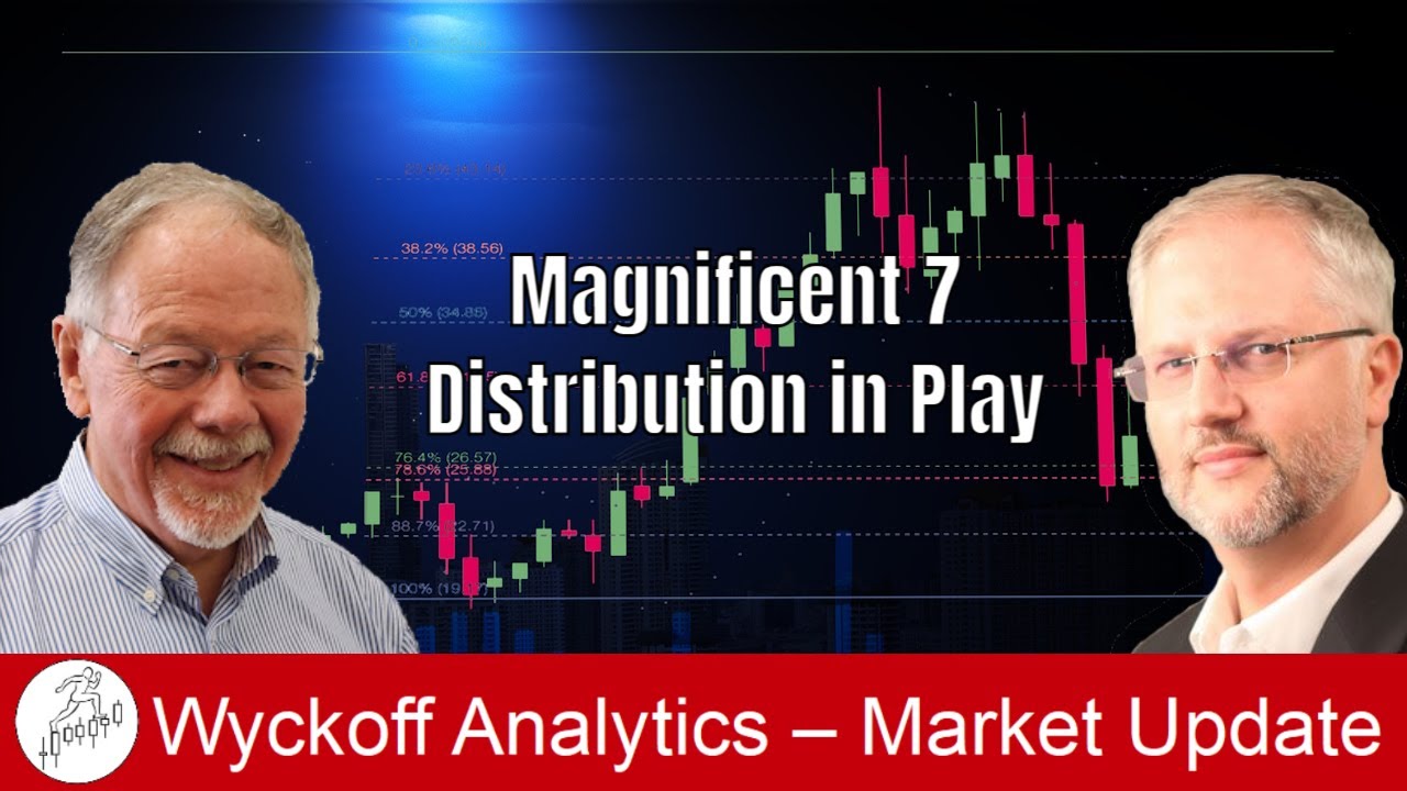 Magnificent 7 – Distribution in Play