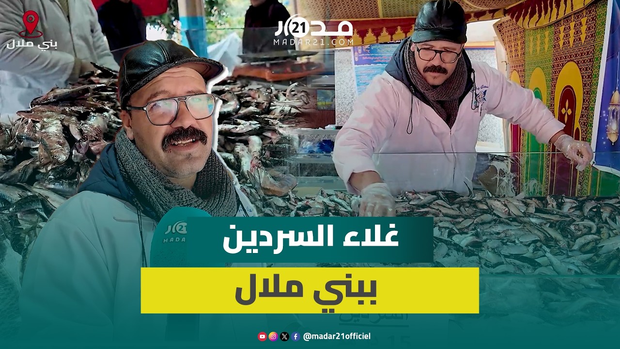الإقبال يرفع سعر السردين ببني ملال ومهني يتوقع انخفاض الثمن بعد رمضان