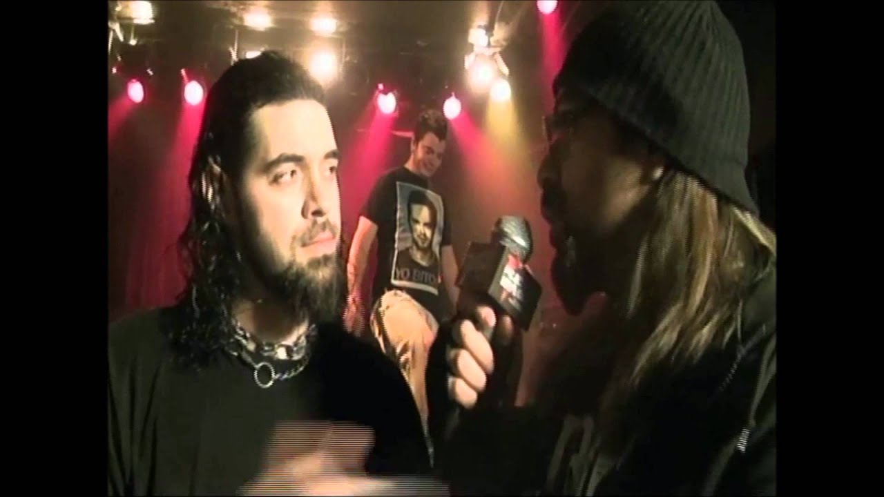 Mine Enemies Fall/Interview
