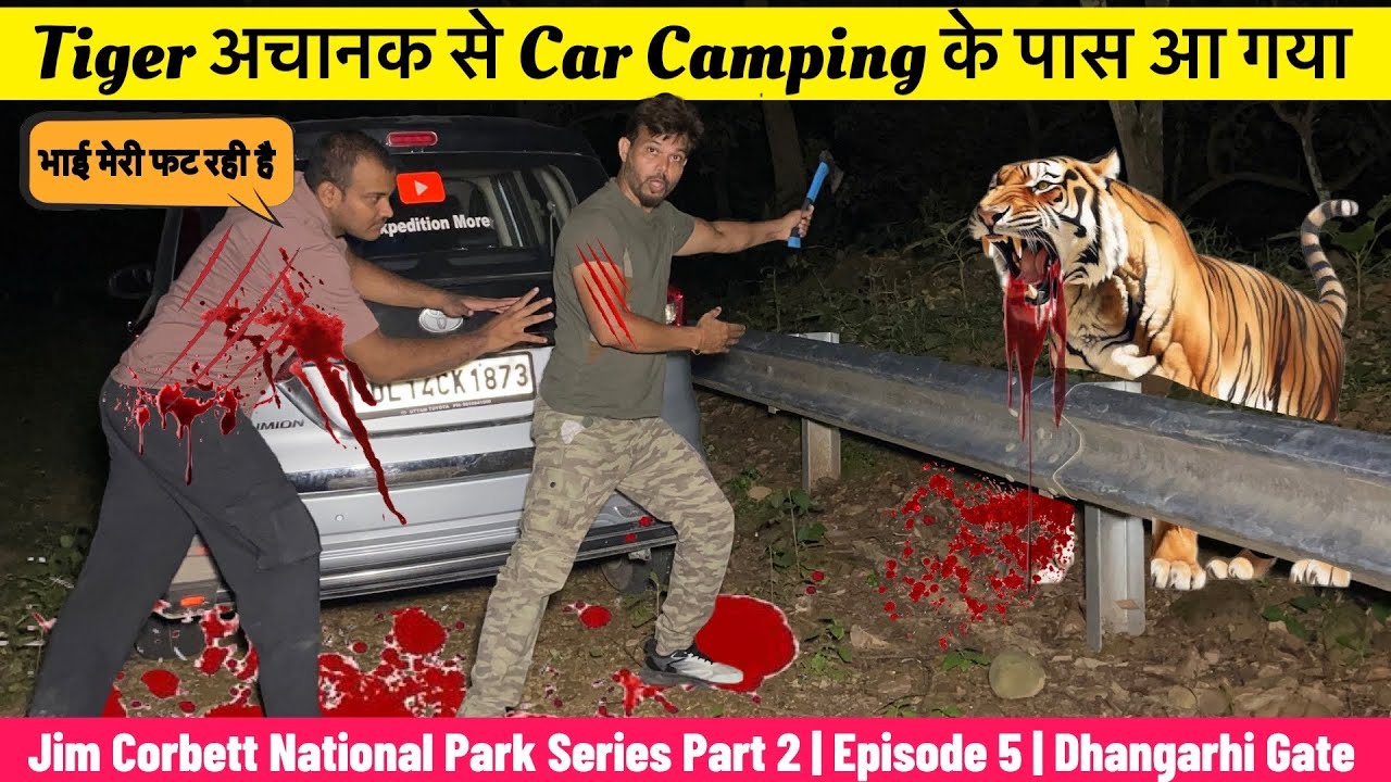 Night Camping In Jungle | Tiger Near Our Car Camping | Jim Corbett Camping Series | Dhangarhi Gate 