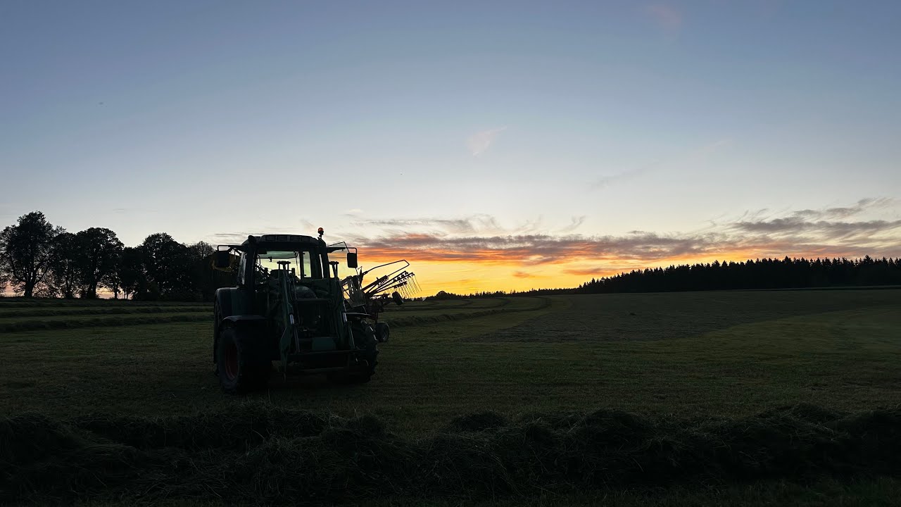 Cabview | Raking silage | Fendt Farmer 412 Vario & Fella TS1603