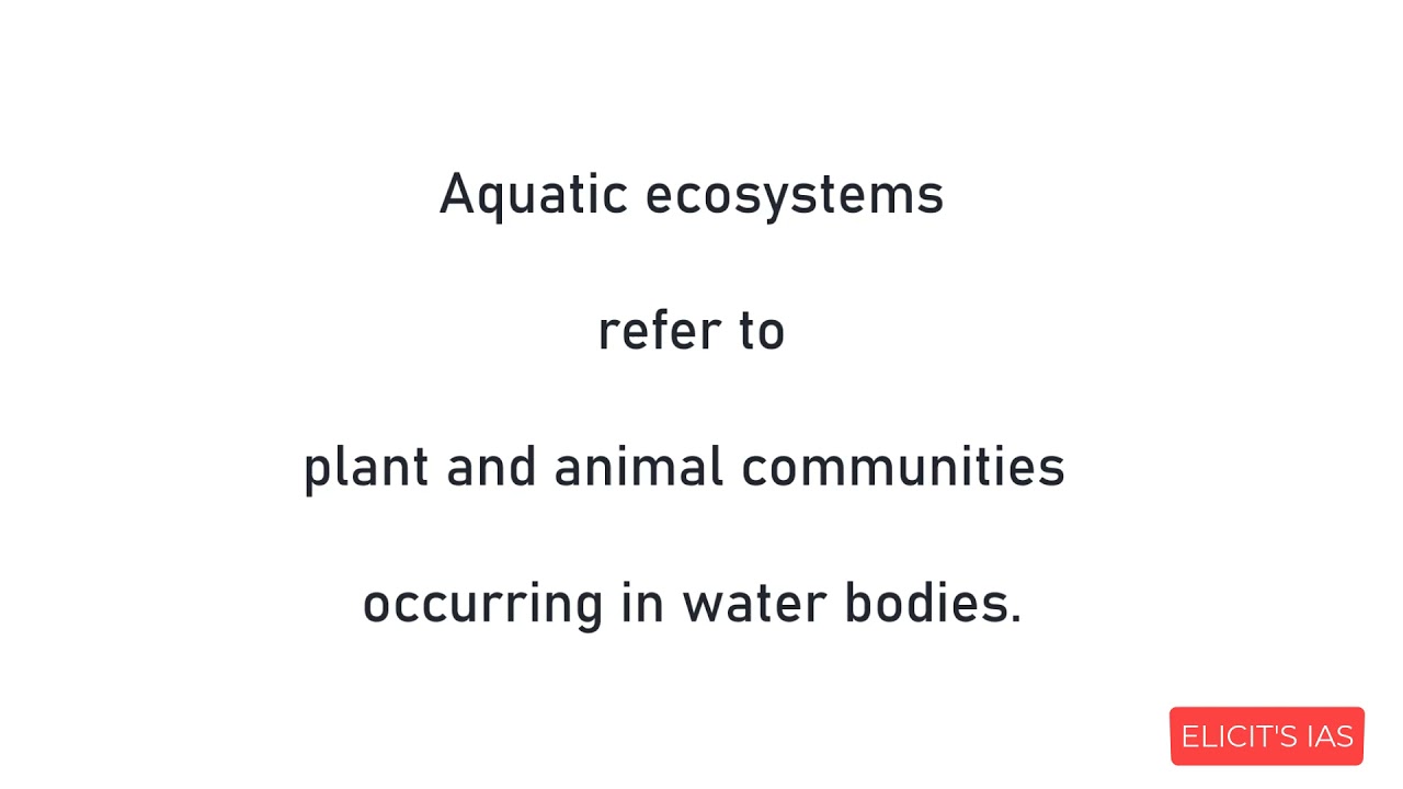 Aquatic ecosystem