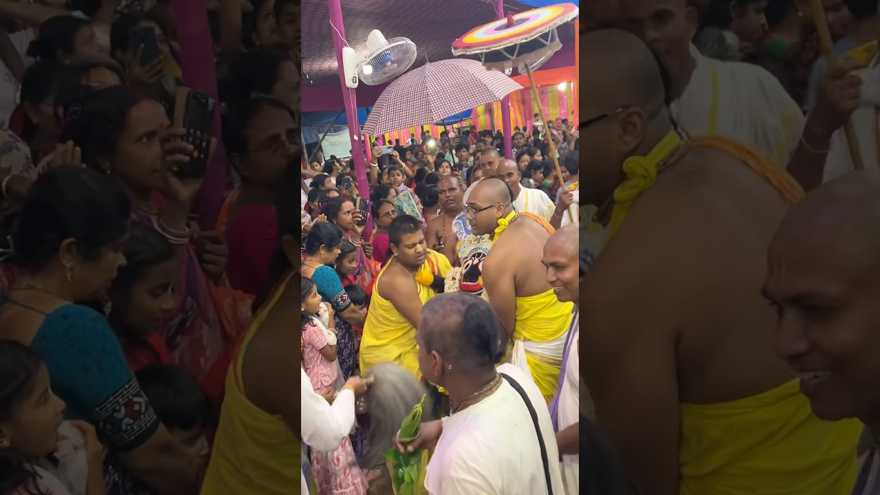 Pahandi vijay // Sri Jagannath Ratha Yatra 2026 // # #harekrishna #haribol