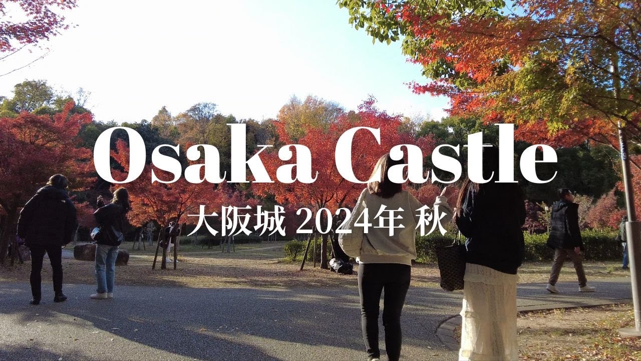 【4K】Osaka Castle Walking Tour ~beautiful autumn leaves and ginkgo trees~ // 大阪城 ウォーキング ~美しい紅葉とイチョウ~
