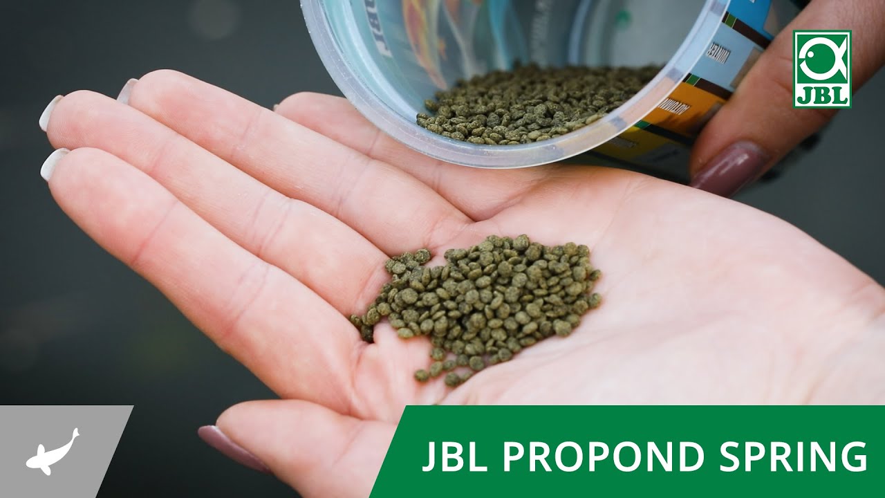 Das richtige Teichfutter f&uuml;r das Fr&uuml;hjahr - JBL PROPOND SPRING