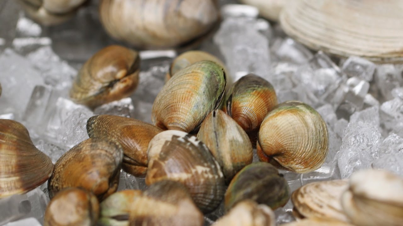 How To Clean and Prepare Clams