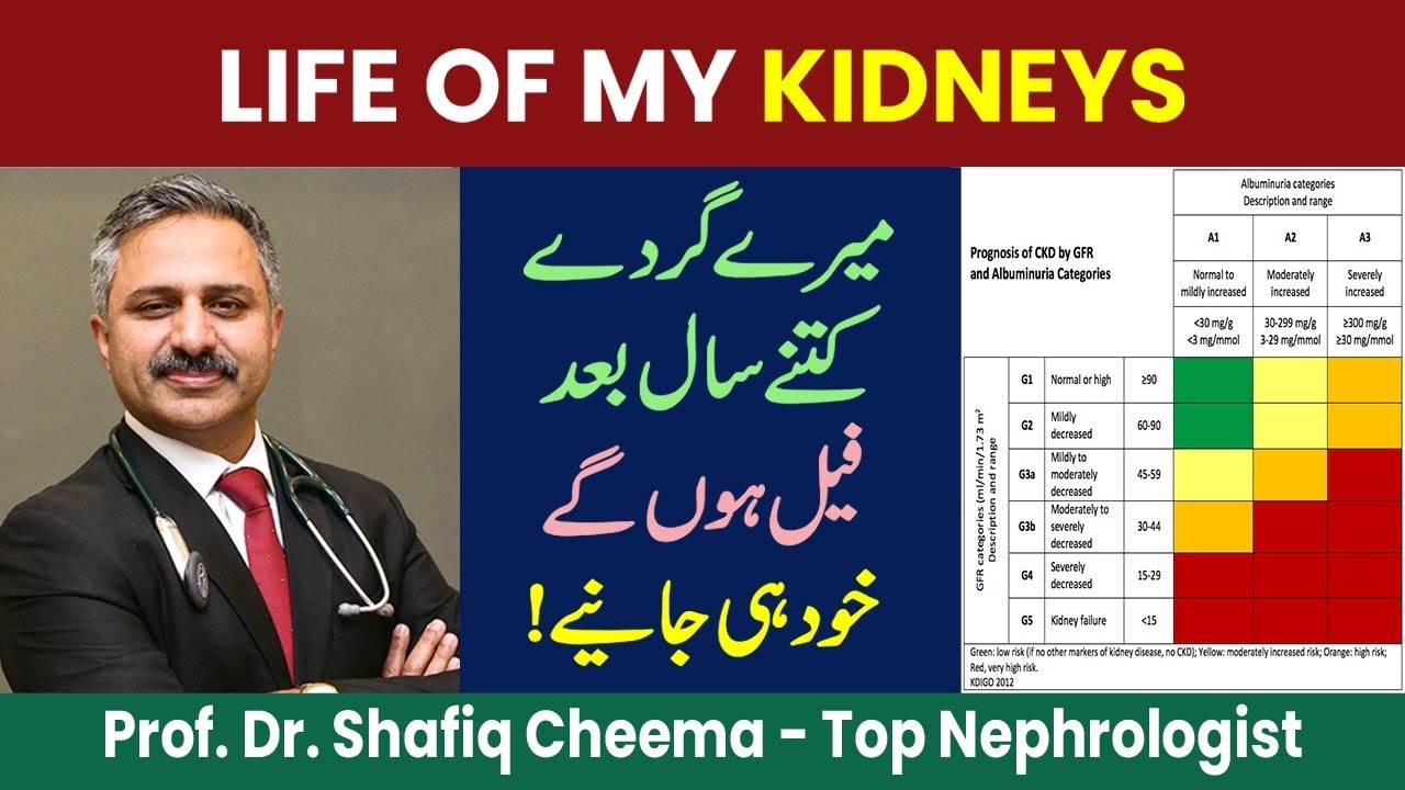 What is Life of my Kidneys ?? #ckd #egfr #proteinuria #drshafiqcheema