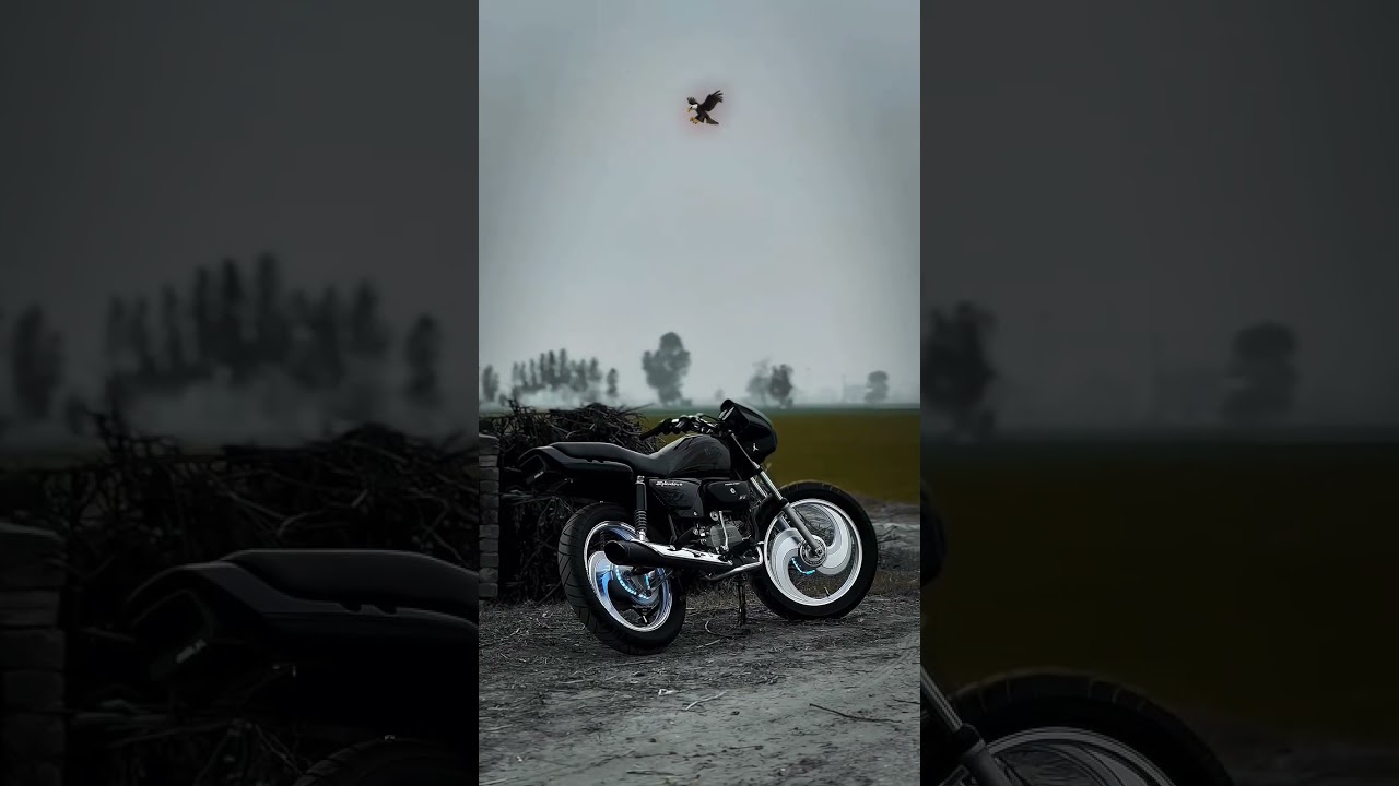 #saplandar