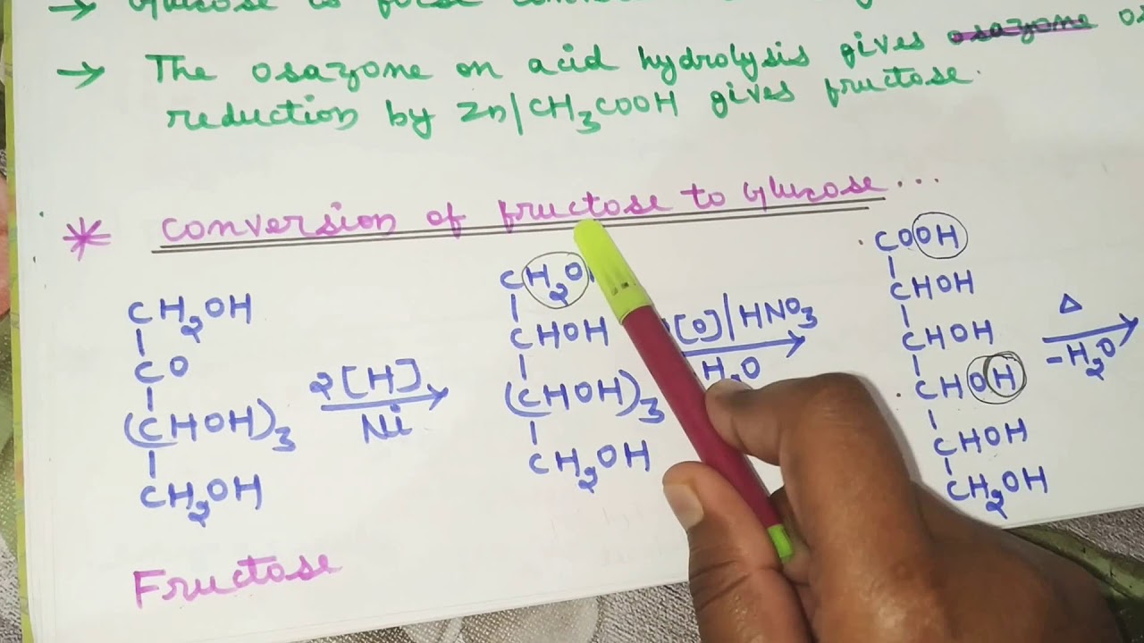 Conversion of fructose to glucose.