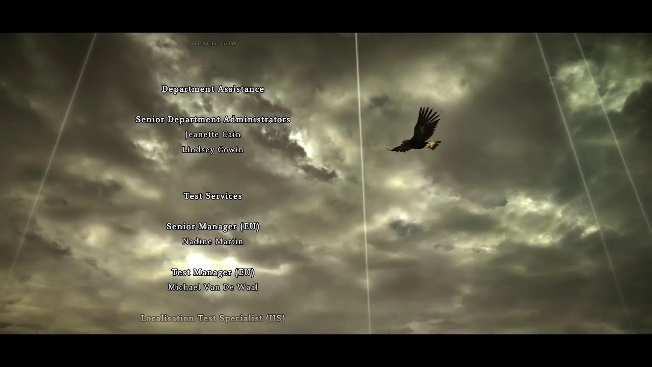 Shadow Of The Colossus Fin