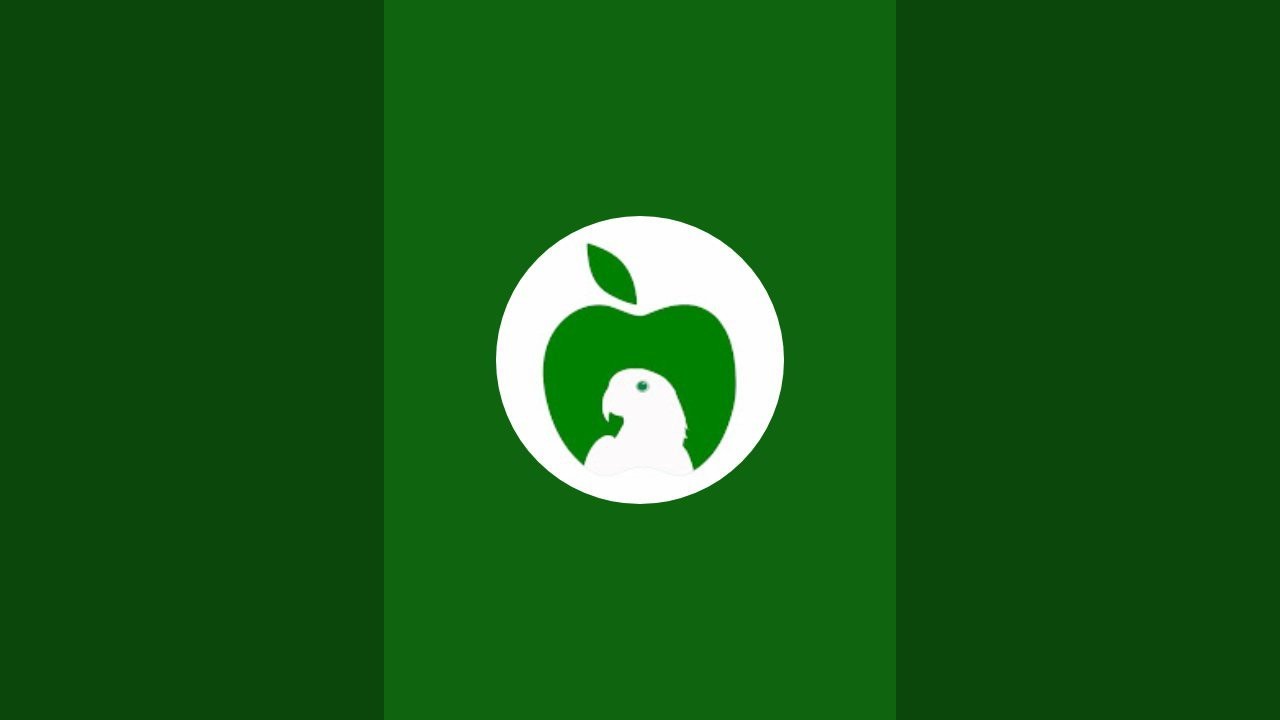 Dietbird  está ao vivo!