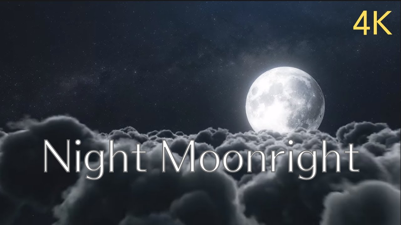 001Night Moonright