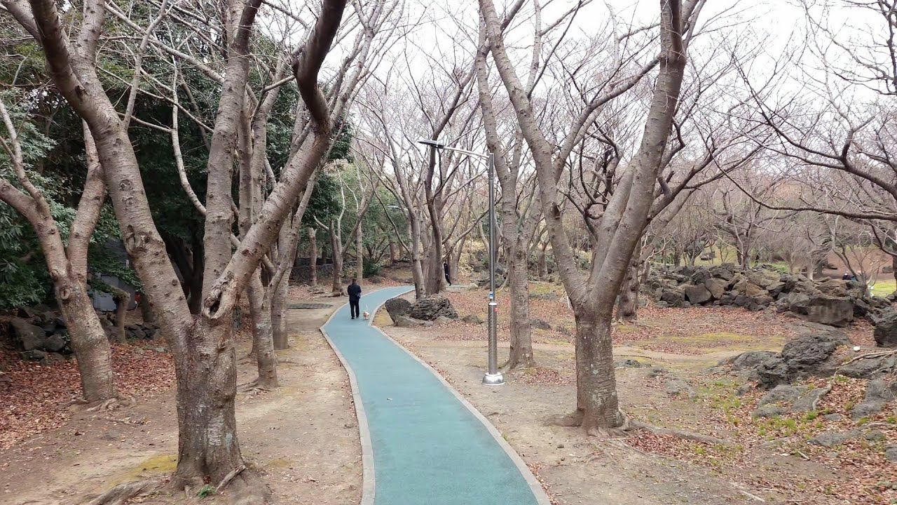 [4K] Real Jeju Walk – Quiet Local Park Walk | Jeju, Korea 🇰🇷