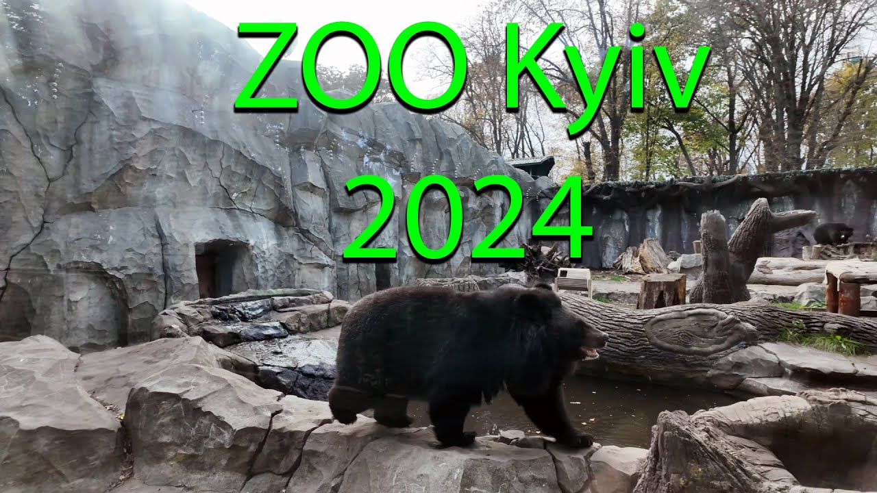 🇺🇦ZOO Kyiv 2024