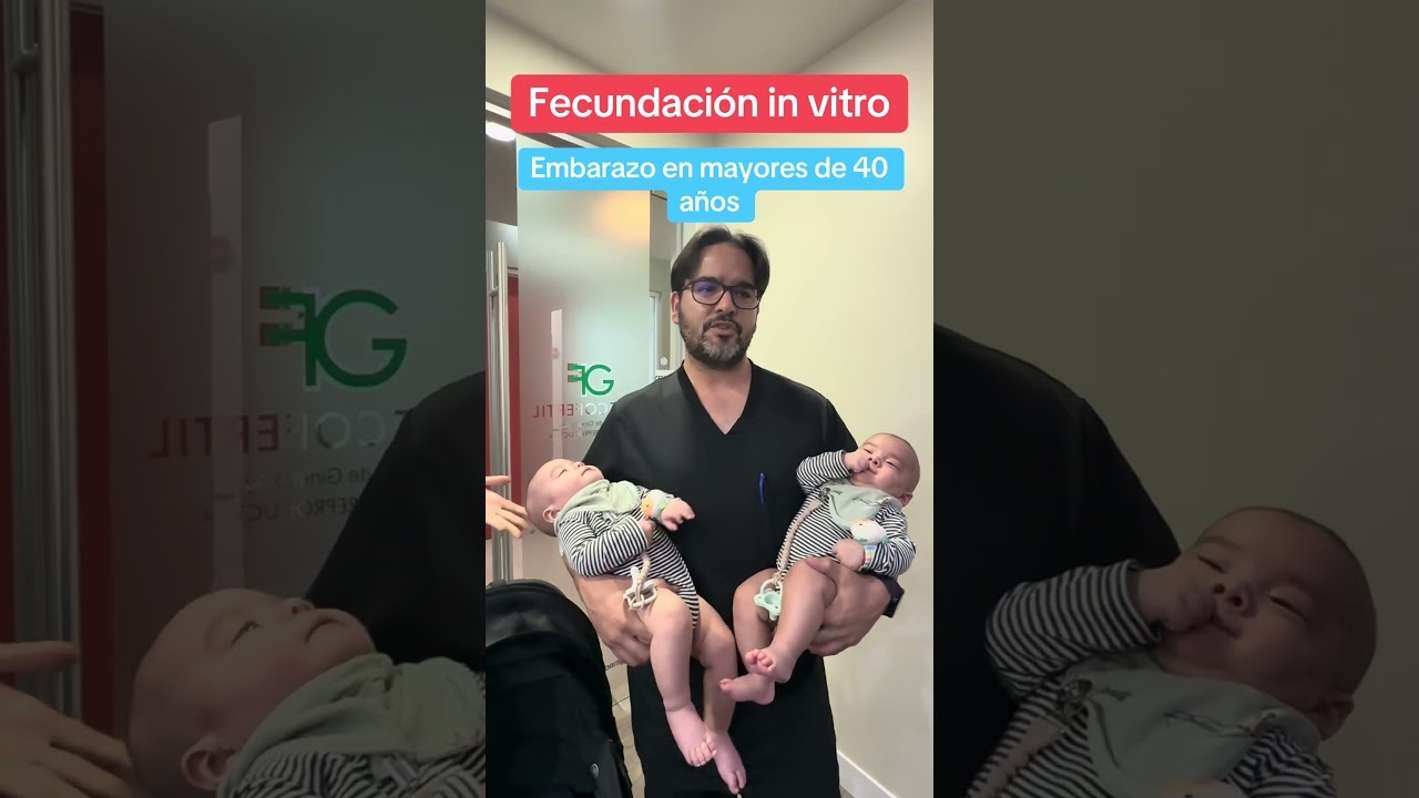 Fecundación in vitro 