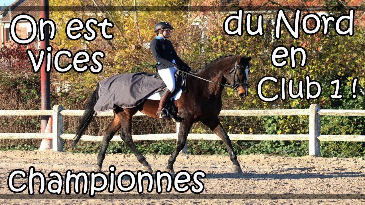 Chloé & Nouba : DRESSAGE Club 1 Grand Prix, AHFRA CHPT DEP. / 21 Avril 2019. [SAISON 2019]
