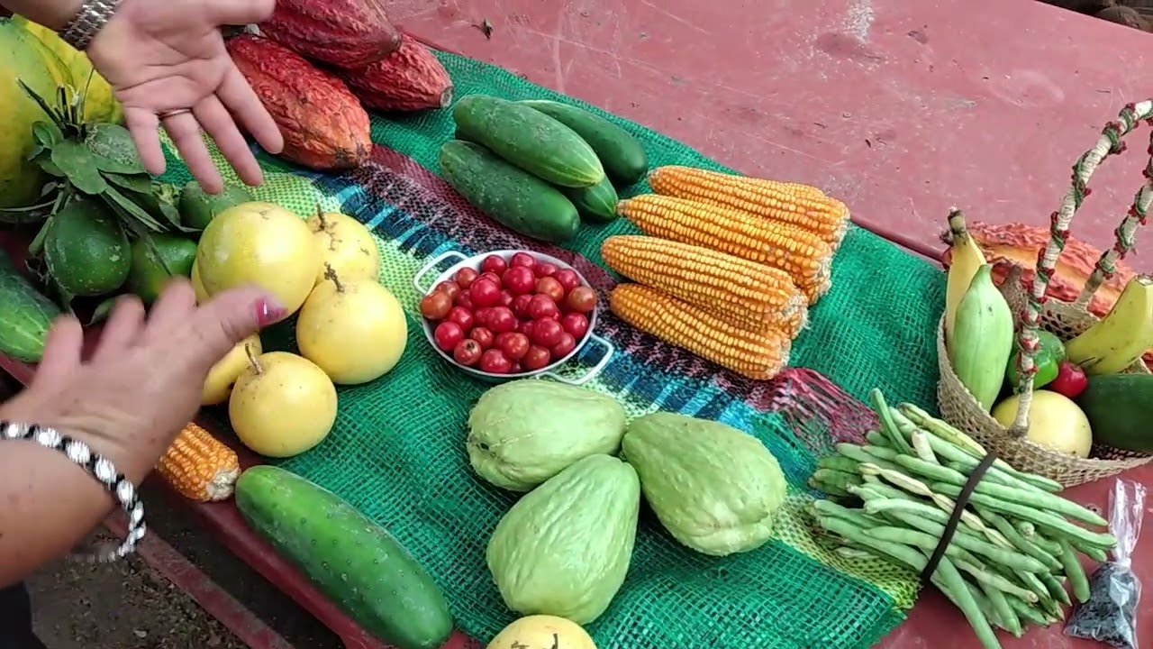 CANTÓN SUCÚA DE LA PROVINCIA MORONA SANTIAGO DE FIESTAS AGRICULTORAS ORGÁNICAS COMERCIALIZAN SUS PRO