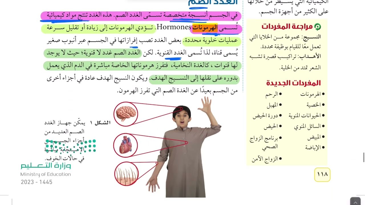 جهاز الغدد الصم والتكاثر علوم ثاني متوسط 1445