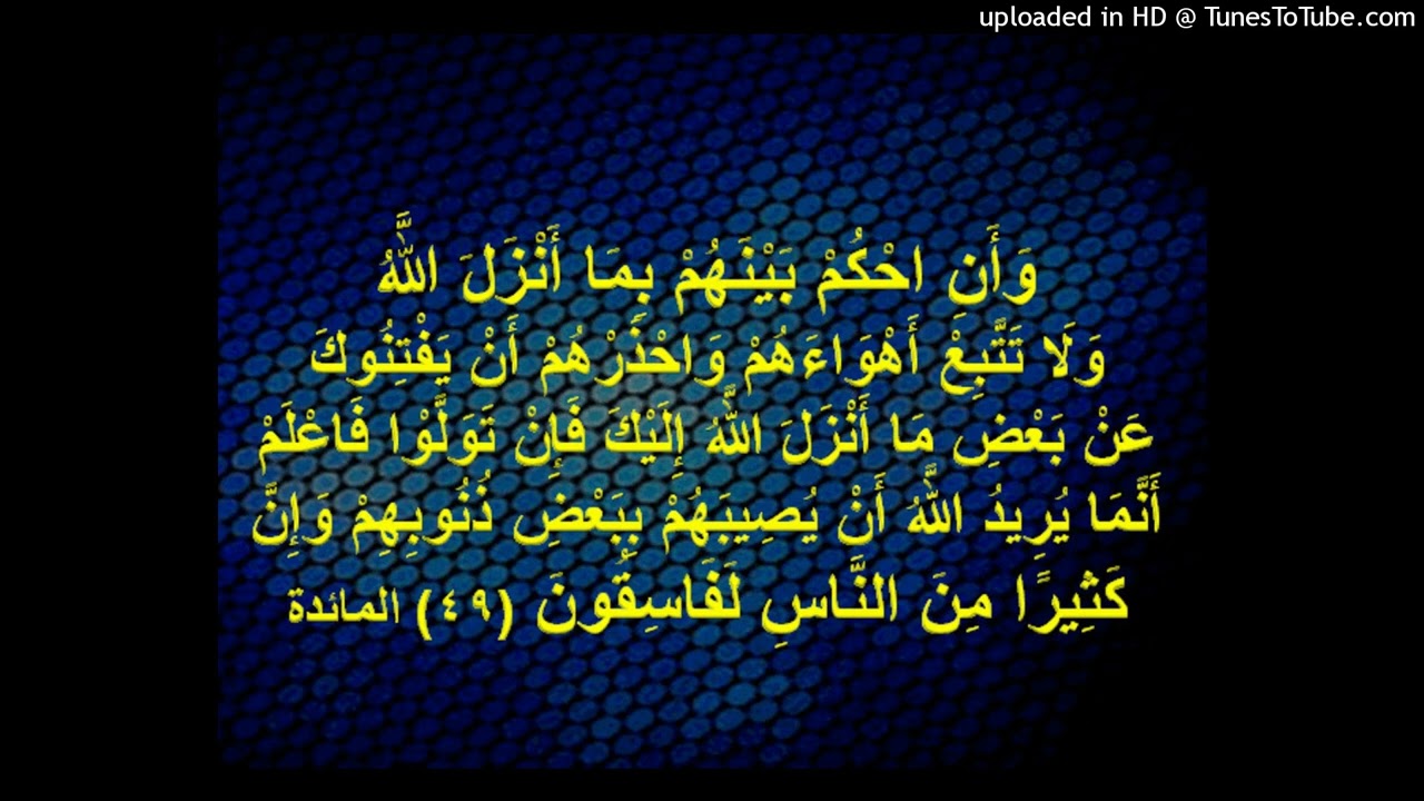 الشيخ يحيى الحجوري حول الانتخابات