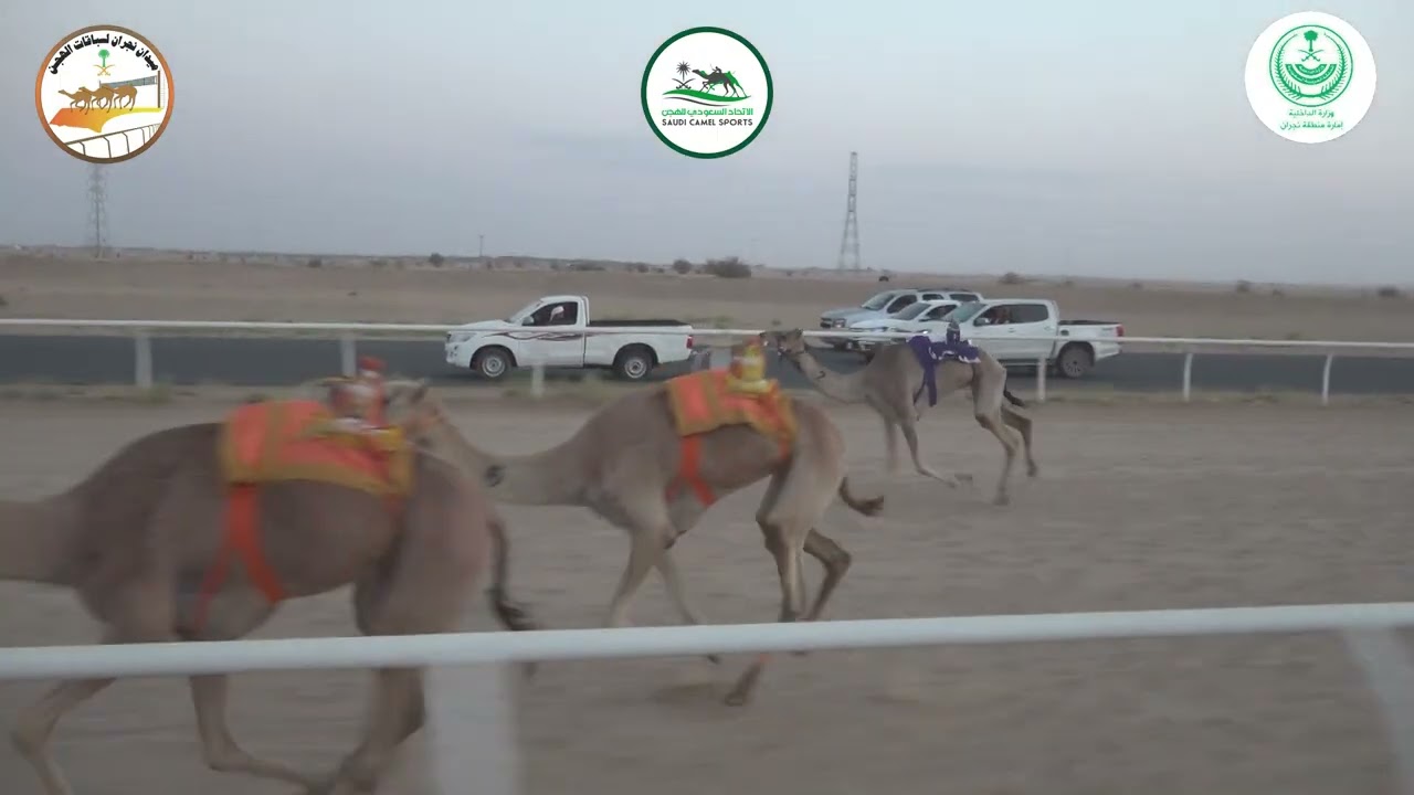 1/بكار حيل / 6000م / سيوف / هادي مرسل ال رزق