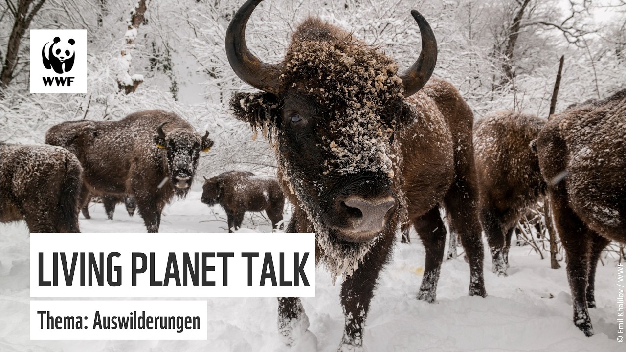 WWF Living Planet Talk – Auswilderungen