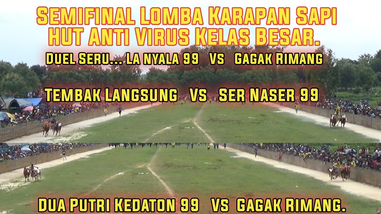 Semifinal Lomba Karapan Sapi HUT Tim Anti Virus Kelas Besar. 