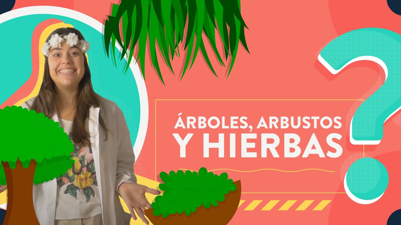 &Aacute;rboles, arbustos y hierbas