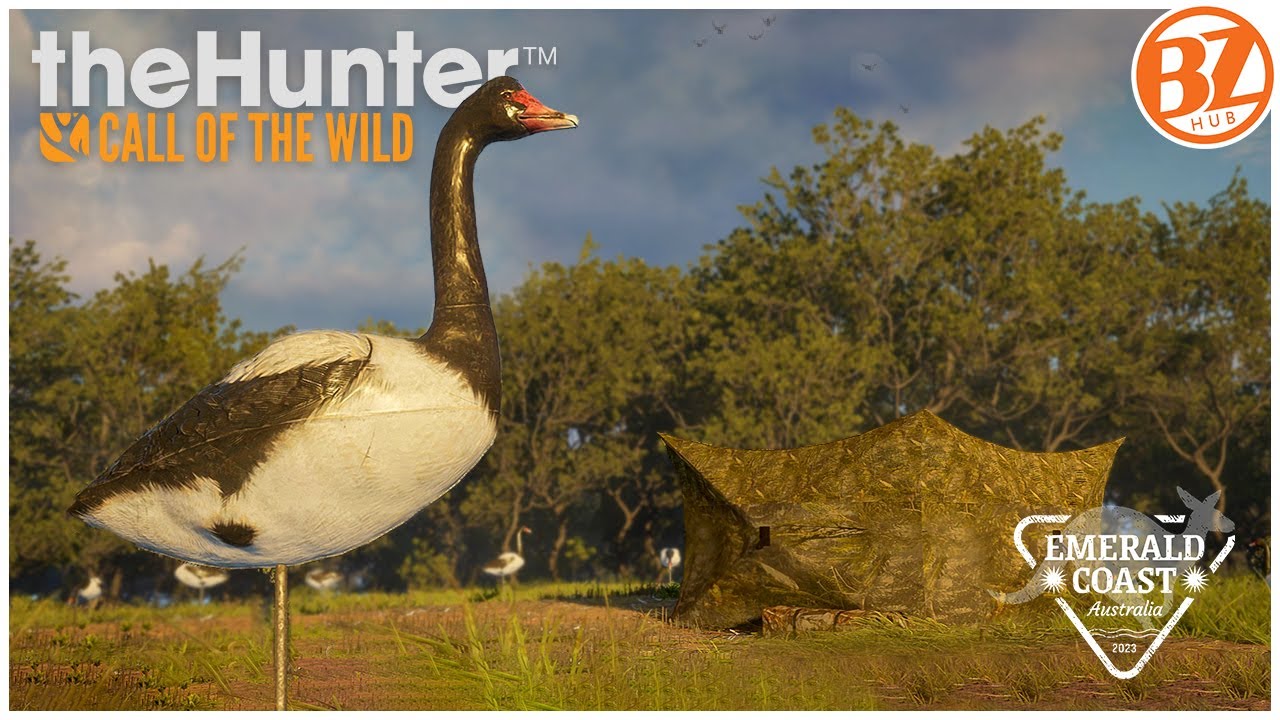 Место обитания сороки гусей! Это лучшее место?! | the Hunter: Call of the Wild (COTW)