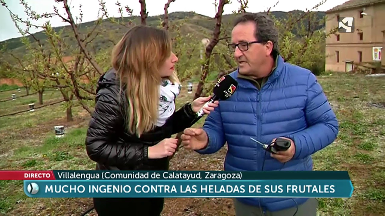 Velas de parafina para salvar a los árboles de las heladas