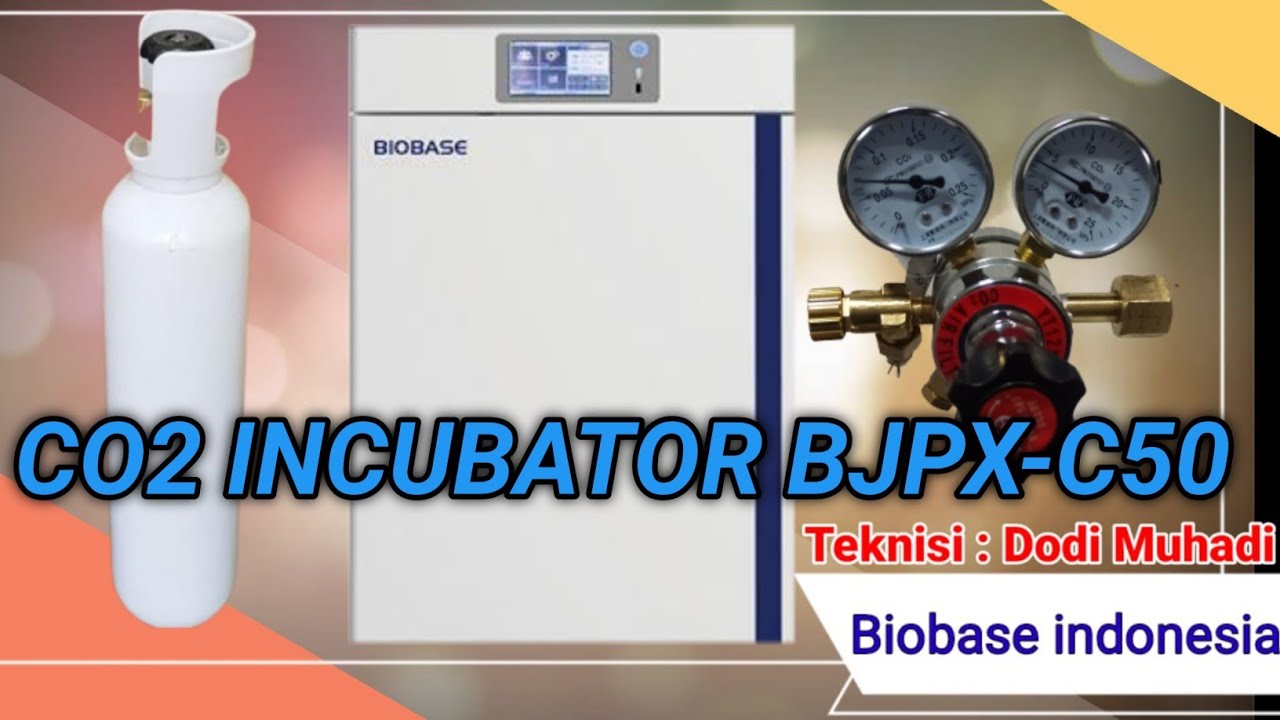 Biobase CO2 Incubator BJPX Instalasi