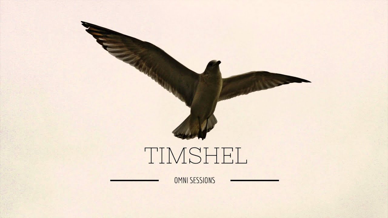 Timshel - Dance Me to the End of Love (Leonard Cohen Cover)
