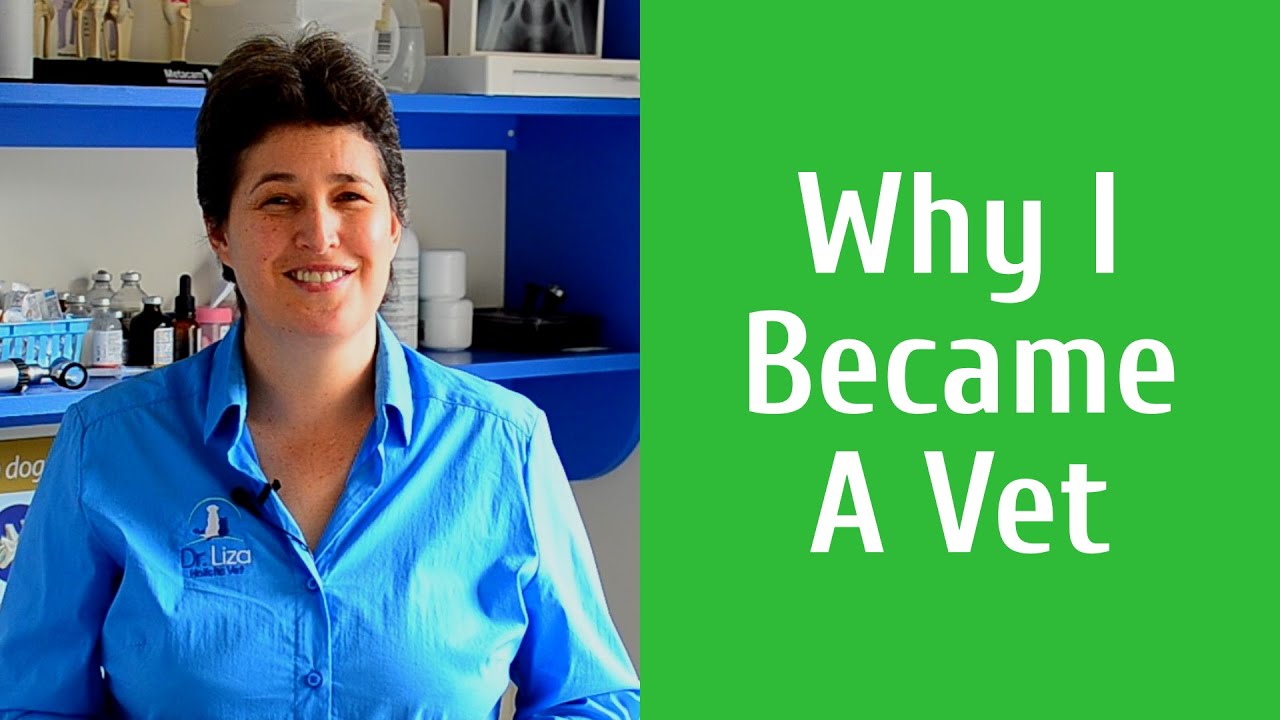Why I Became A Vet